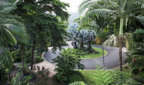 Oasis At Palm Cove - Coogee Beach Accommodation 7