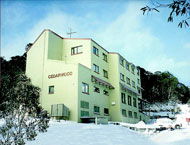 Cedarwood Apartments - Coogee Beach Accommodation 0