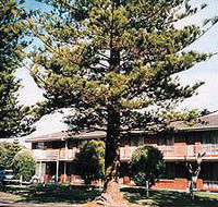 Eastern Beach Holiday Units - Coogee Beach Accommodation