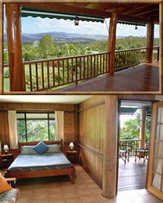 Atherton Blue Gum - Coogee Beach Accommodation 0
