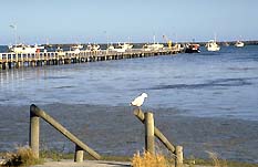 Cape Douglas SA Coogee Beach Accommodation