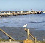 Seaview Motel and Holiday Units - Coogee Beach Accommodation