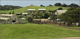 Cape Schanck VIC Coogee Beach Accommodation