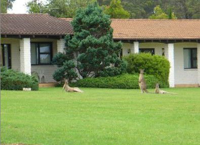 The Oaks Ranch & Country Club - Coogee Beach Accommodation 1