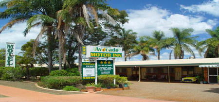 Avocado Motor Inn - Coogee Beach Accommodation 0