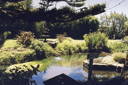 Bayside Gardens - Coogee Beach Accommodation 0
