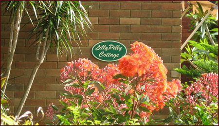 Balgowlah NSW Coogee Beach Accommodation