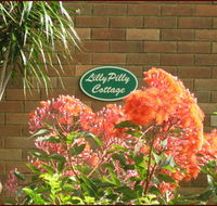 Lillypilly - Coogee Beach Accommodation