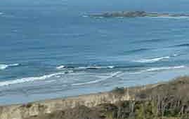 Sawtell NSW Coogee Beach Accommodation