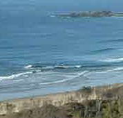 Beach Haven Apartments - Coogee Beach Accommodation