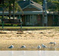 Best Western Coastal Waters Motor Inn - Coogee Beach Accommodation