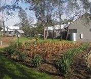 Hermitage Lodge - Coogee Beach Accommodation 1