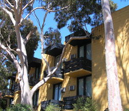 Pathfinder Motel - Coogee Beach Accommodation 1