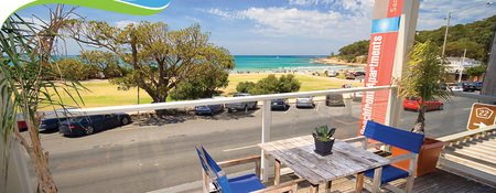 Lorne Beachfront Accommodation - Coogee Beach Accommodation 0