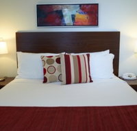 Quest On Dorcas - Coogee Beach Accommodation