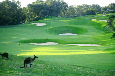 Joondalup Resort - Coogee Beach Accommodation 1