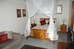 Tall Trees B And B - Coogee Beach Accommodation 1