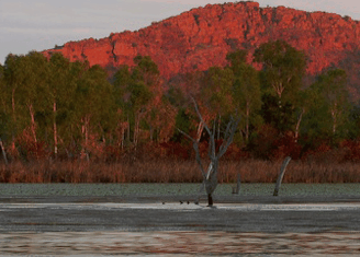 Lakeview Apartments Kununurra - Coogee Beach Accommodation 4