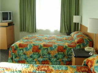 Bailey's Motel - Coogee Beach Accommodation 1