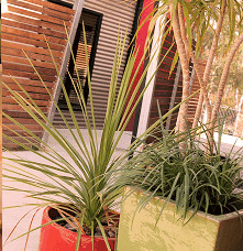Adelphi Apartments - Coogee Beach Accommodation 1