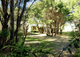 Peaceful Bay Chalets - Coogee Beach Accommodation 4