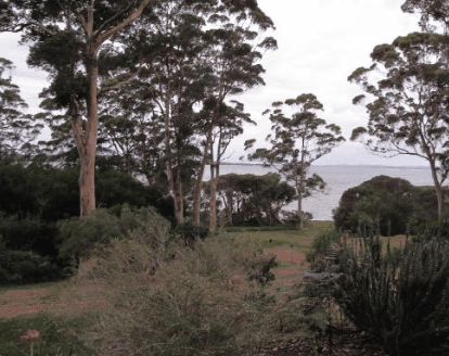 The Denmark Waterfront - Coogee Beach Accommodation