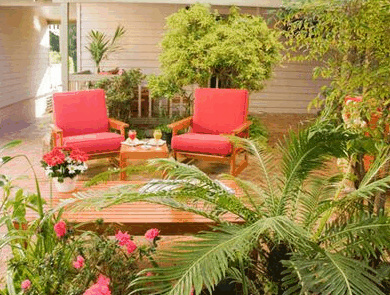 Adamsons Riverside Accommodation - Coogee Beach Accommodation 1