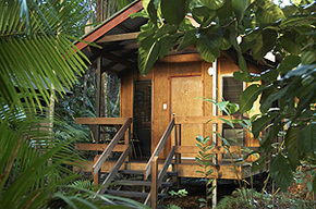 Cape Trib Beach House - Coogee Beach Accommodation 0