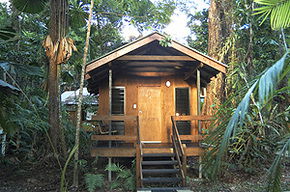 Cape Trib Beach House - Coogee Beach Accommodation 3