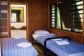 Cape Trib Beach House - Coogee Beach Accommodation 4