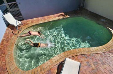 Belvedere Apartments - Coogee Beach Accommodation 0