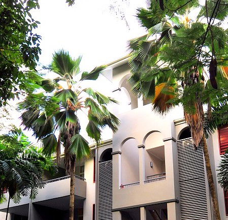 Oasis At Palm Cove - Coogee Beach Accommodation 2