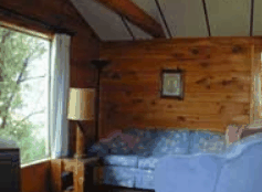 The Pines Resort - Coogee Beach Accommodation