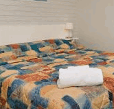 Regency Waterfront Motel - Coogee Beach Accommodation