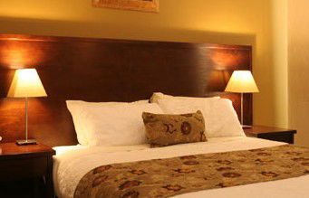 Whale Motor Inn - Coogee Beach Accommodation 1