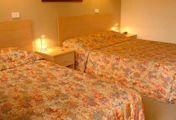 Best Western Tall Trees Motel - Coogee Beach Accommodation 1