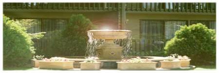 Best Western Tall Trees Motel - Coogee Beach Accommodation 2