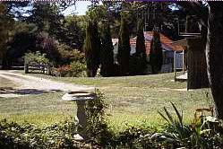 Tantangara NSW Coogee Beach Accommodation