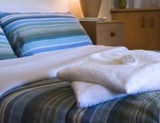 High Cross Park Lodge - Coogee Beach Accommodation 1