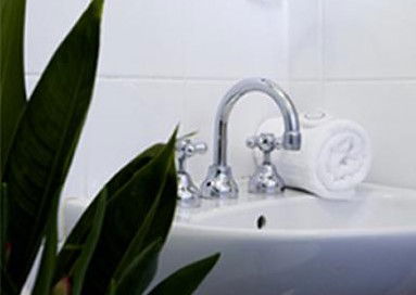 High Cross Park Lodge - Coogee Beach Accommodation 2