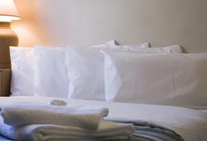 High Cross Park Lodge - Coogee Beach Accommodation 3