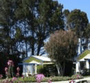 King Island Accommodation Cottages - Coogee Beach Accommodation 1