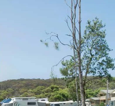Merry Beach Caravan Park - Coogee Beach Accommodation 2