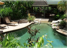 Cascade Gardens - Coogee Beach Accommodation 1