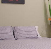 Stingo Hotel - Coogee Beach Accommodation