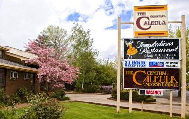 Central Caleula Motor Lodge - Coogee Beach Accommodation 0