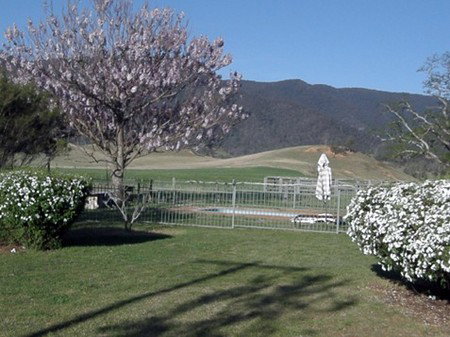 Araluen Old Courthouse - Coogee Beach Accommodation 0