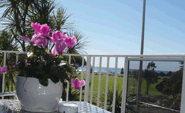 Beach Park Motor Inn - Coogee Beach Accommodation 3