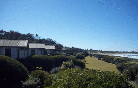 Blue Lagoon Beach Resort - Coogee Beach Accommodation 2