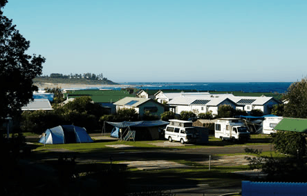 Blue Lagoon Beach Resort - Coogee Beach Accommodation 3